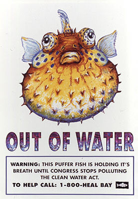 Fish Out Of Water