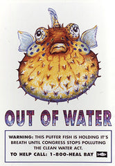 Fish Out Of Water