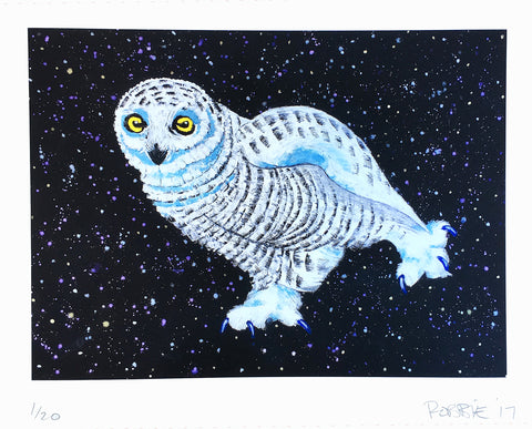 "Dancing in the Dark" (Snowy, Owl #3)
